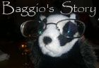 Baggio's Story