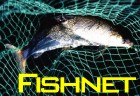 Fishnet